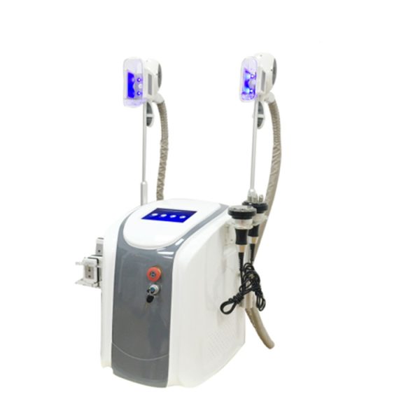 MSL perdió la máquina de congelación de grasa más rápida de peso equipo de belleza MSLCY06 en venta