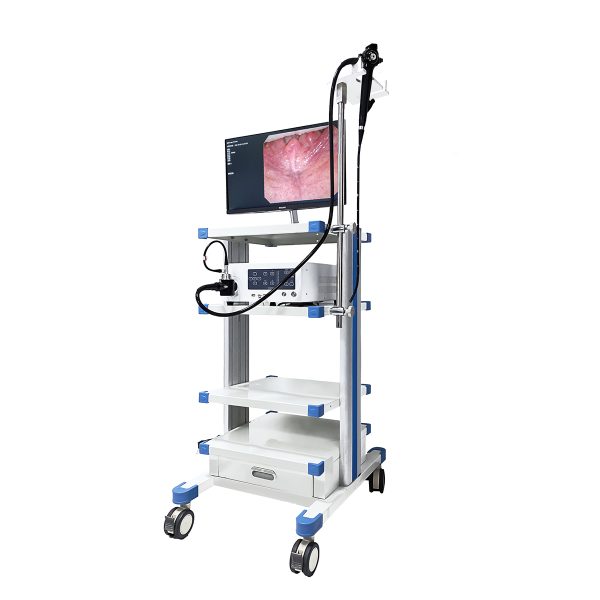 Nuevo sistema de duodenoscopio y colonoscopio de video HD ERCP 2 en 1 para humano/veterinario MSLSY26