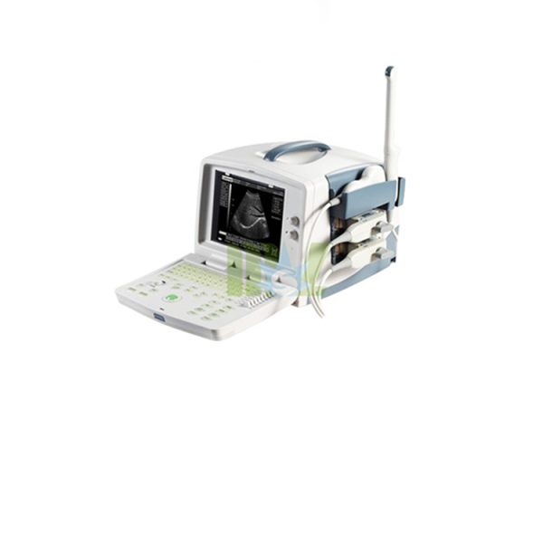 PC based ultrasound device / PC based 3D full digital laptop ultrasound / desktop USG MSLPU30