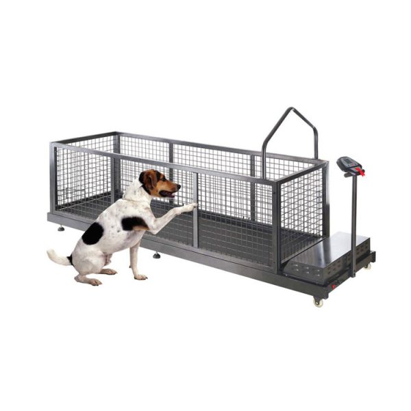 Perros de alta velocidad MSL-C600 - Medsinglong