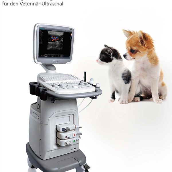 Carro de ultrasonido Doppler para mascotas Equipo de ultrasonido Sonoscape P15