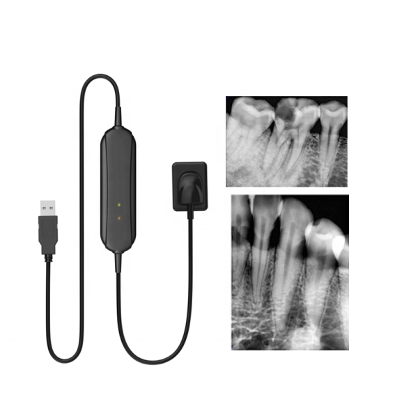 Sensor intraoral digital profesional, equipo dental portátil B.S.D.CG03