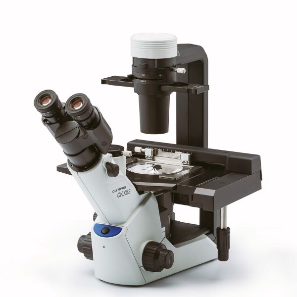 Microscopio de laboratorio Olympus CKX53 para cultivo celular CKX53