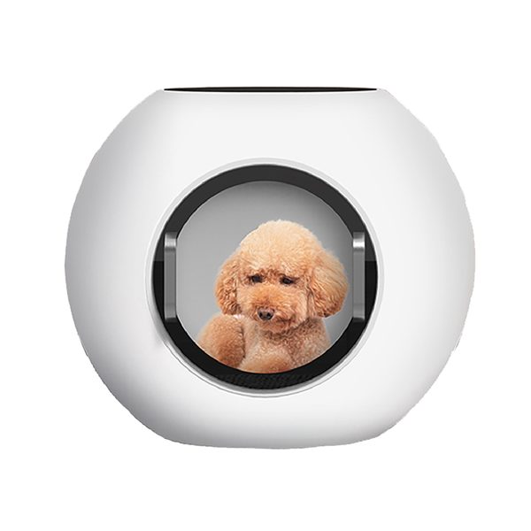 Plancha de aseo para perros completamente automática, secador de pelo portátil para mascotas gatos y perros en la habitación MSLHGG36