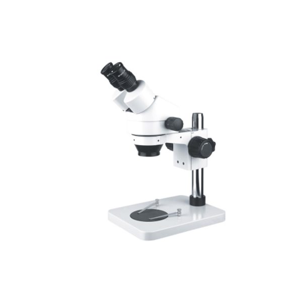 Precio del microscopio electrónico MSL MSLSM05 en venta