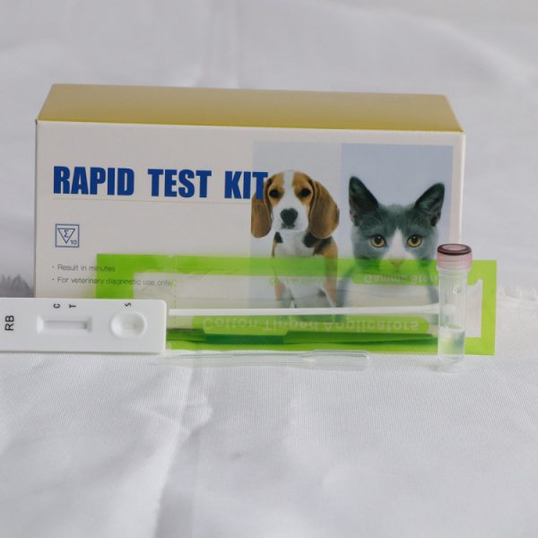 Prueba de antígeno de rabia Kit de prueba rápida de rabia para diagnóstico veterinario.