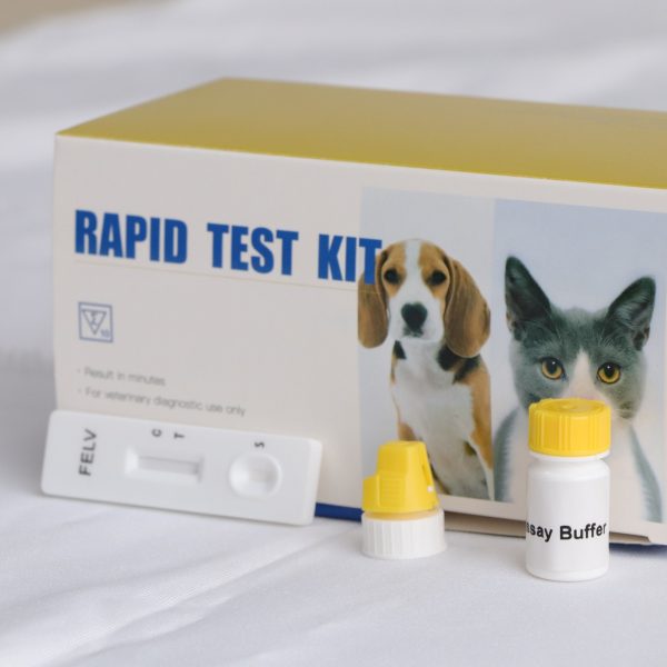 Prueba rápida de anticuerpos del Virus de la Inmunodeficiencia Felina + antígeno del Virus de la Leucemia Felina | Prueba de flujo lateral FIV Ab + FeLV Ag MSLDH18B