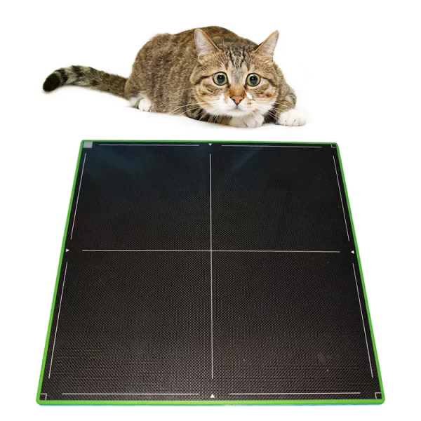 Sistema de DR de rayos X inalámbrico de venta superior de 17*17 con detector de panel plano MSLCV08