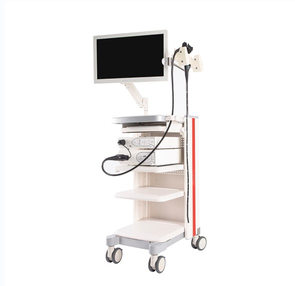 Sistema de Endoscopio Electrónico para Uso Humano, con Fuente de Luz Fría Video Colonoscopio Video Gastroscopio MSLCYN06