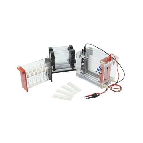 Tanque de electroforesis de membrana de acetato de celulosa MSLSP7