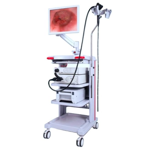 Videoendoscopio de gastroscopio y colonoscopio de video de alta resolución Máquina de endoscopia de video Sistema de videoendoscopios MSLCYN02