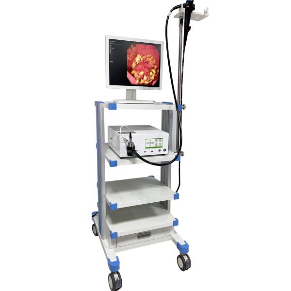 Videoendoscopio Profesional para Tracto Gastrointestinal Veterinario Todo en Uno MSLSY25