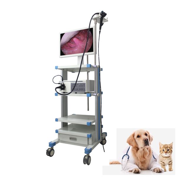 Videoendoscopio veterinario completo con fuente de luz fría y procesador de imagen para clínica veterinaria Precio MSLSY17