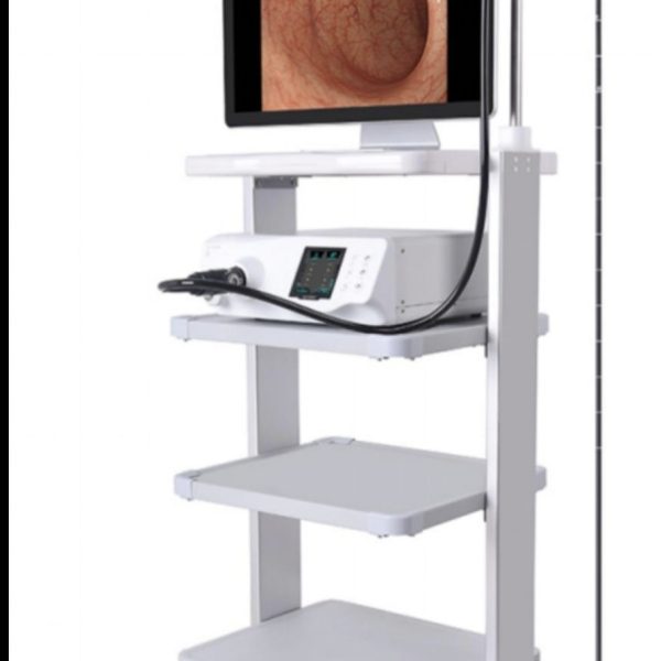 Endoscopio médico portátil cámara de endoscopio para uso veterinario B.S.D.GA287