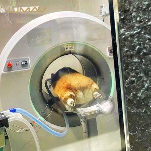 Escáner de tomografía computarizada veterinaria para mascotas para hospitales animales