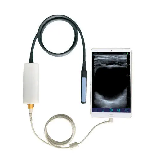 Sonda Endocavitaria B.S.D. UL8-4T – Reproducción Bovina / Equina (Color Doppler)