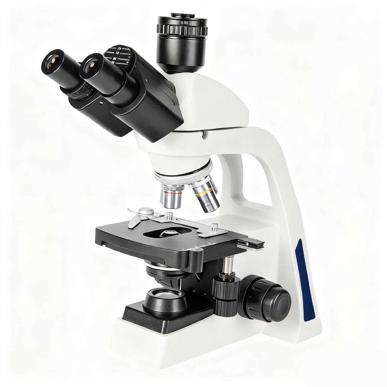 mmexport1768577100339